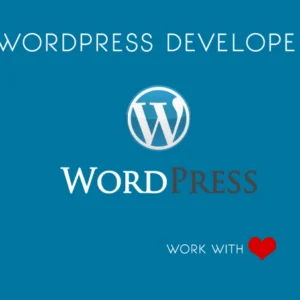 Get a Professionally Designed and Fully Responsive WordPress Blog Website